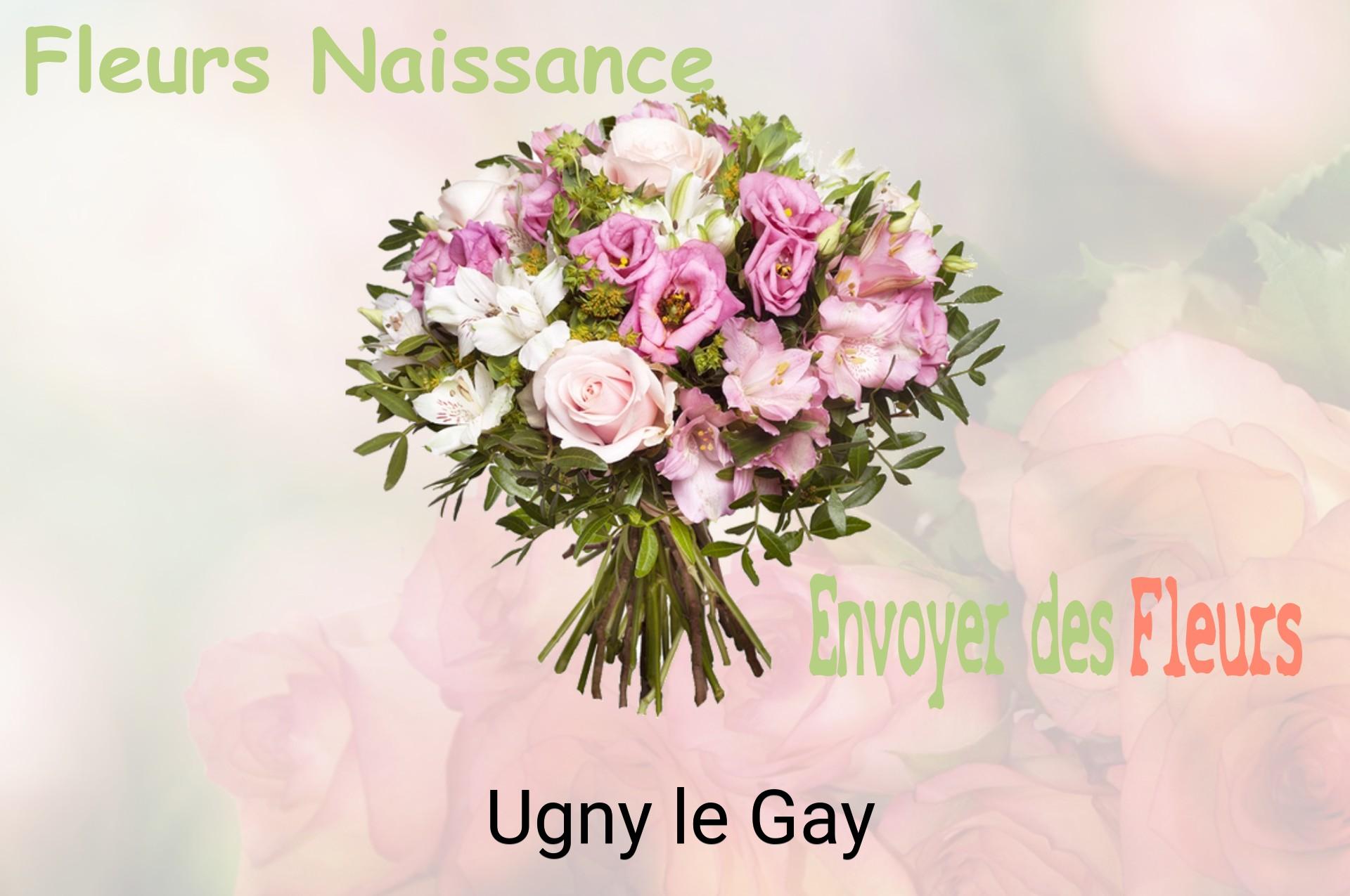 Bouquet de fleurs de naissance livré à Ugny-le-Gay